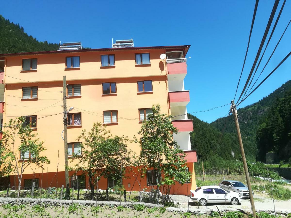 Ozen Golden Apart Aparthotel Uzungöl Εξωτερικό φωτογραφία